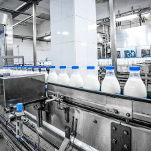 Milk,Production,At,Factory, Shutterstock, 279photo Studio