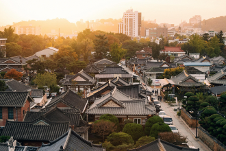 Global Transparency Forum