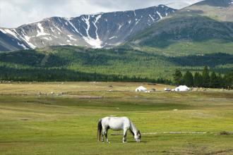 Mongolia launches second technology needs assessment to advance climate action