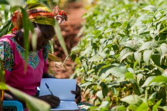 Picture credit: ©2016CIAT/GeorginaSmith