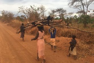 field work tanzania 2017 2