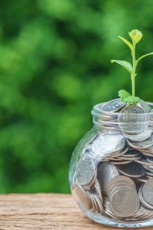 Selective focus on green sprout plant on jar with full of coins